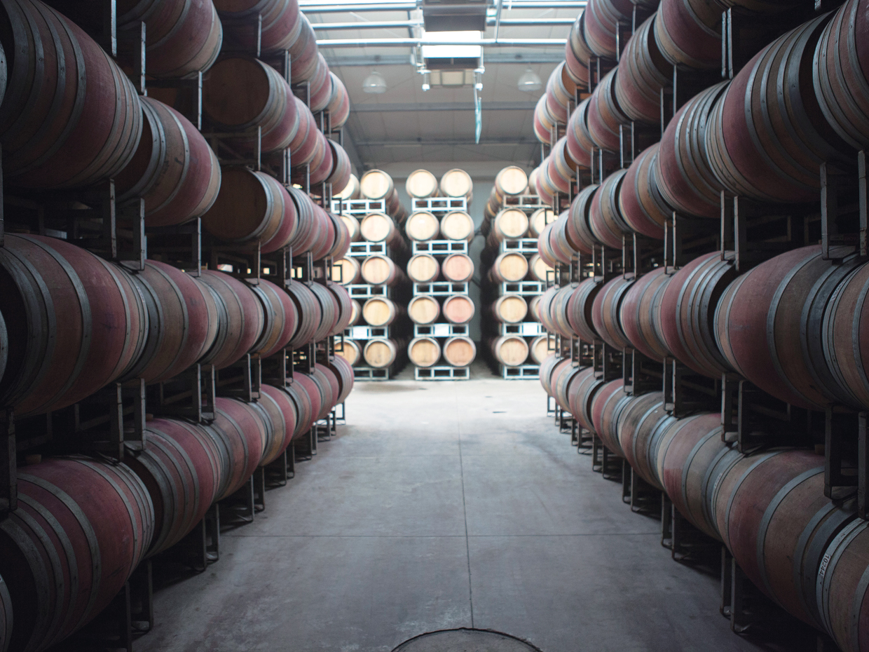 チリのコルチャグアヴァレーに位置するワイナリー。最先端のテクノロジーを備え、経験豊かな醸造チームがワイン造りを支えている。