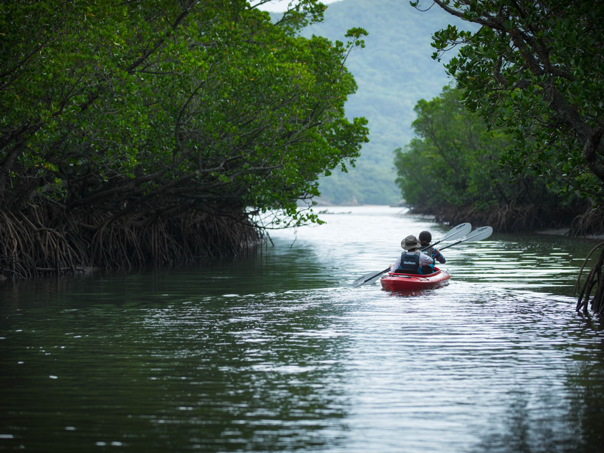 マングローブの川をカヤックで航行できるプログラムも用意されている。