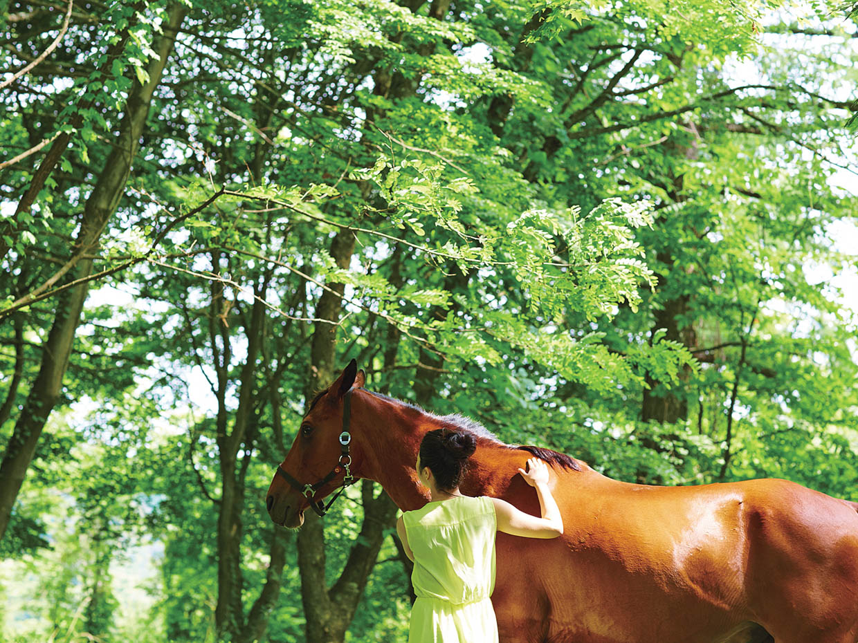 馬のケアから始まる「星のや」ならではの乗馬体験。馬との親密なふれあいや森の中の乗馬を通して、他では得られない自然との一体感を満喫できる。