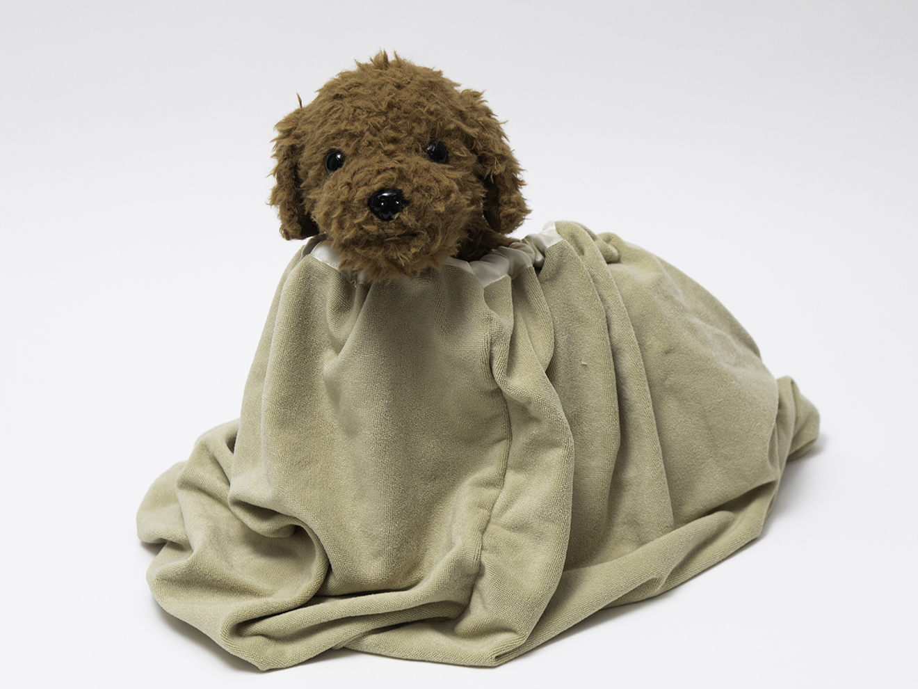 犬と巾着タオル