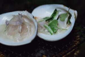 ハマグリの二種仕立て。豆腐との組合せと、山菜との組合せで（コノートン氏）