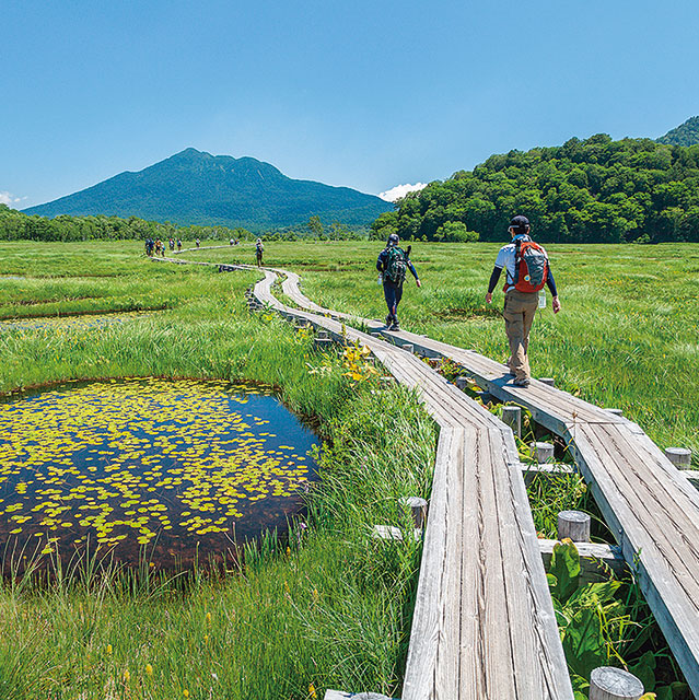 日本の自然を守る遺贈寄付