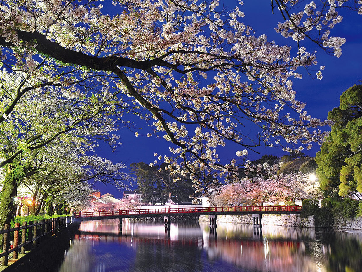 小田原城址公園