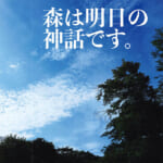 明治神宮。御社殿の南側に広がる御苑