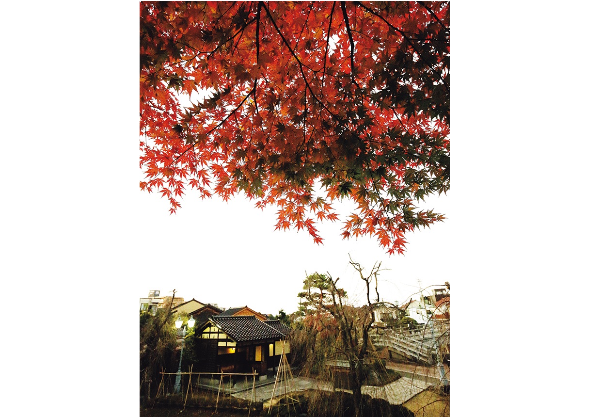 金沢、眼下に中の橋。両端に階段。擬宝珠（ぎぼし）の付いた木造の欄干、桁隠しもある、伝統的な様式