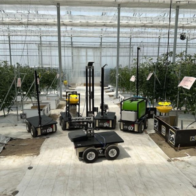 ロボットがAI駆使してトマト栽培