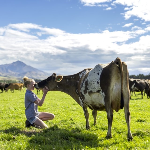 ニュージーランド生まれの”サステナブルな乳製品”メーカー、フォンテラの魅力