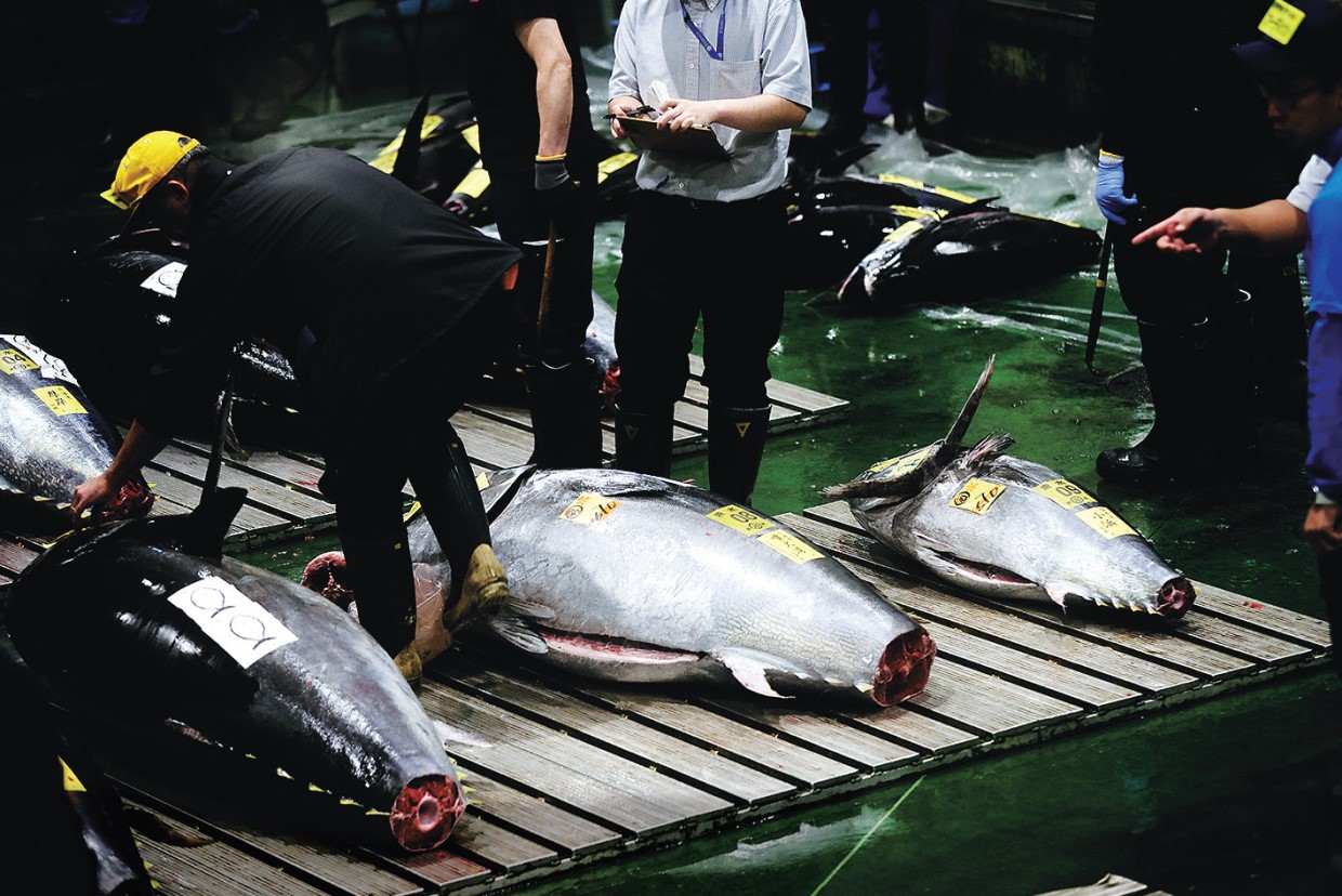 西と東の料理人、鮪のせりを訪ねる、アラン・デュカス＆神田裕行