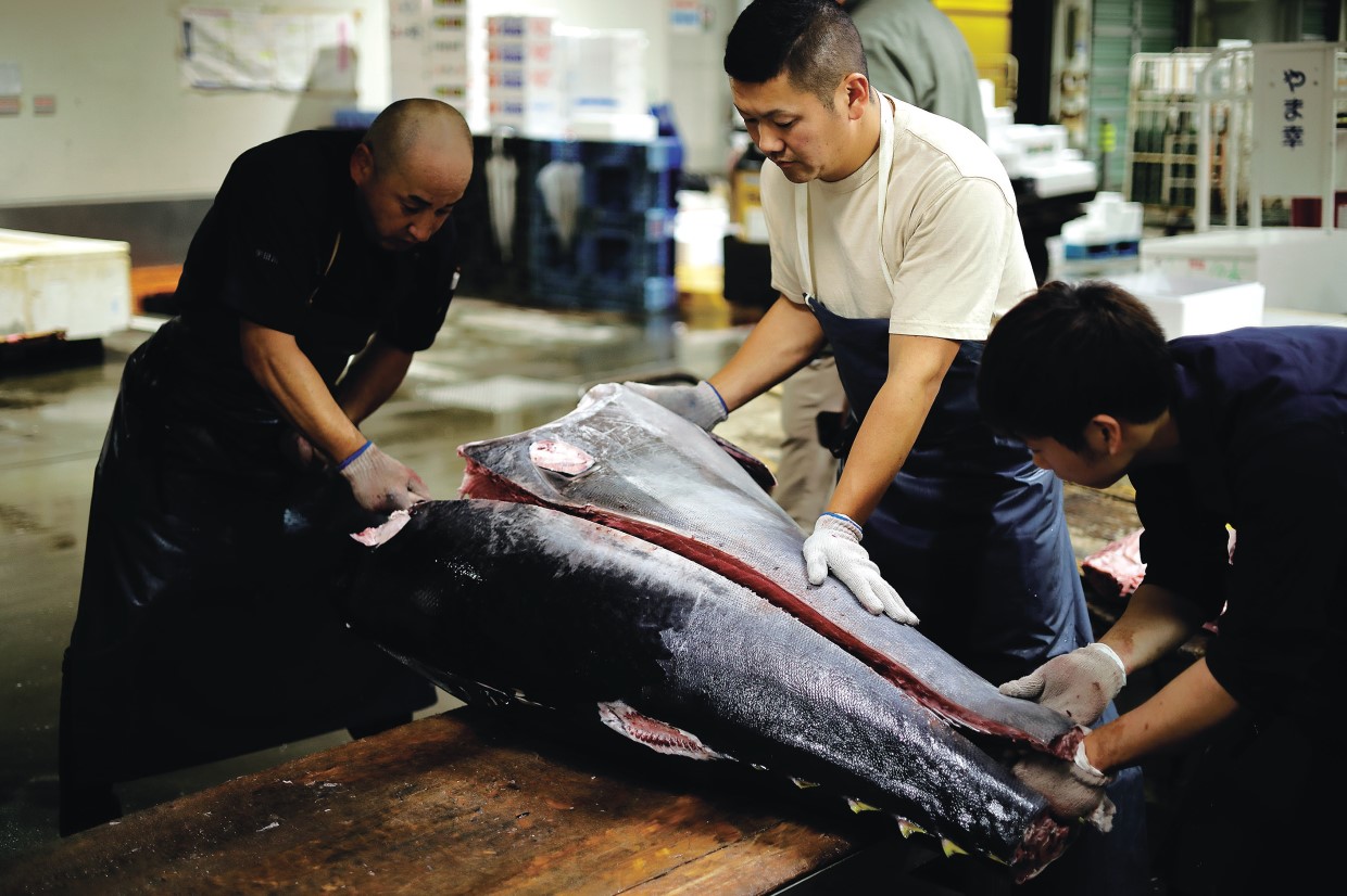 西と東の料理人、鮪のせりを訪ねる、アラン・デュカス＆神田裕行