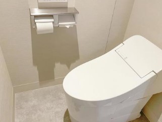 「トイレのふた閉めて流す」は衛生的？　飛沫やウイルスの広がり分析