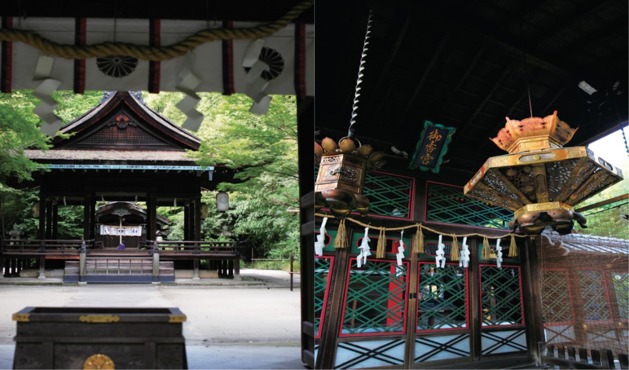 井戸という迷宮水に宿る古都の記憶