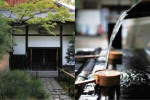 井戸という迷宮水に宿る古都の記憶