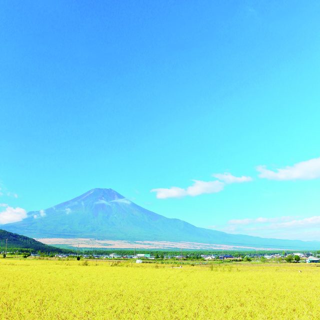 日本の魅力を再発見