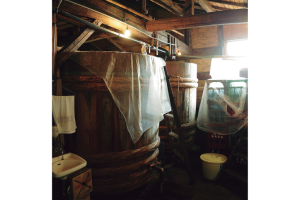 不昧公の松江・数寄者