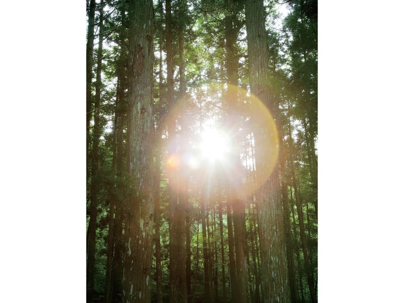 東北緑色革命自在房蓮光が開いた平安時代の荘園