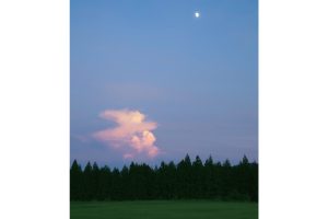 東北緑色革命情報都市「平泉」