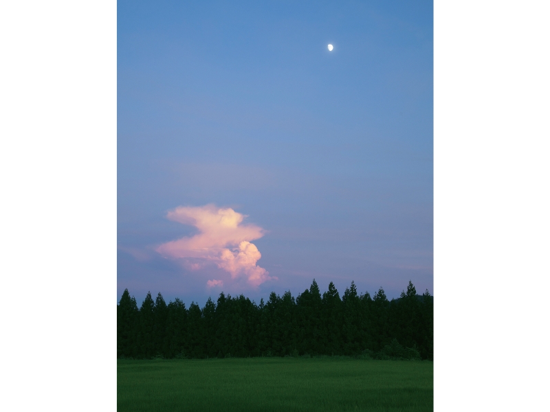 東北緑色革命情報都市「平泉」