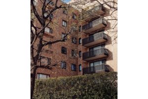 The Value of Aoyama·Omotesando