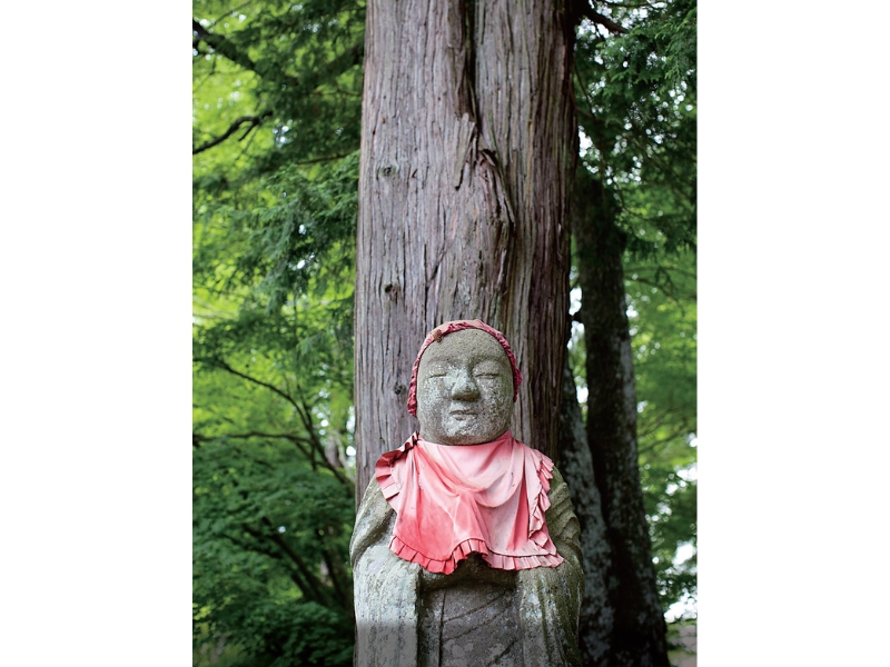 東北緑色革命情報都市「平泉」