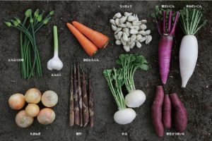 豊穣の地で育まれる伝統野菜