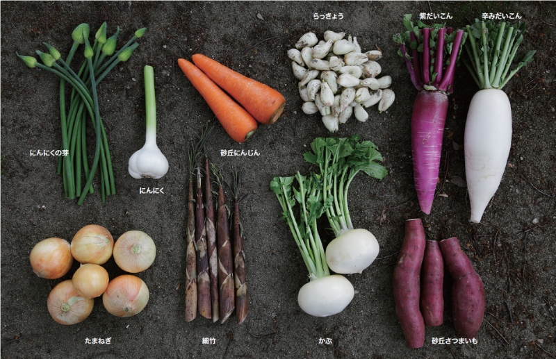 豊穣の地で育まれる伝統野菜