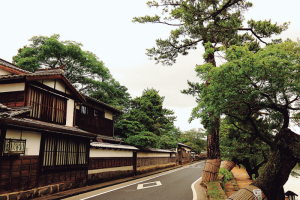 不昧公の松江・数寄者