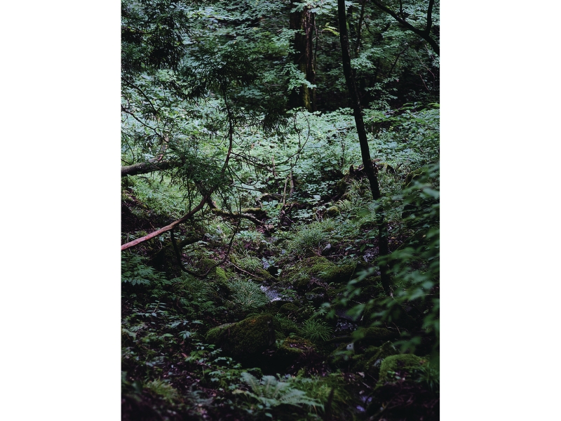 雪代水が育むカキ 宮城・気仙沼