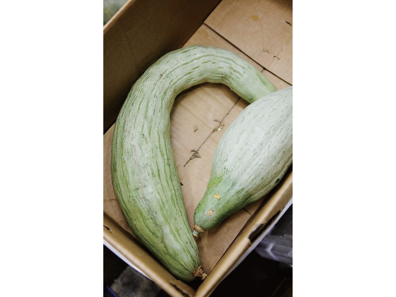 時今浪花賑活気あふれる天下の台所