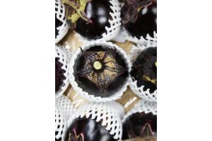 時今浪花賑活気あふれる天下の台所