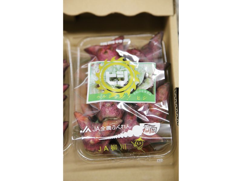 時今浪花賑活気あふれる天下の台所