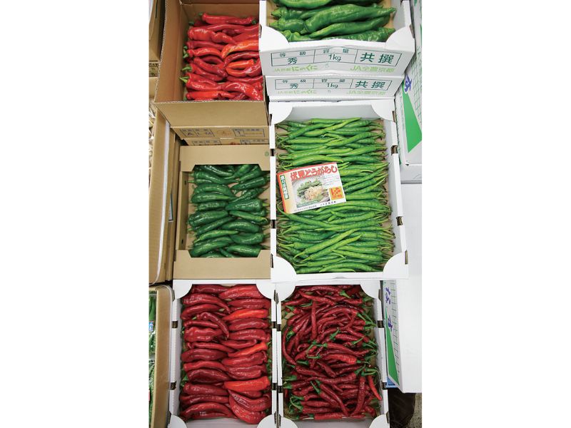 時今浪花賑活気あふれる天下の台所