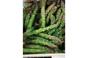 時今浪花賑活気あふれる天下の台所