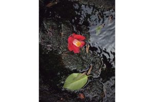 最西端の島、福江鬼門と繁栄