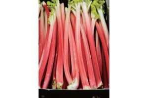 時今浪花賑活気あふれる天下の台所