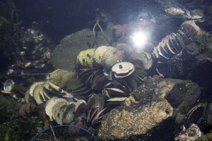 東北緑色革命風景の力、土地の力