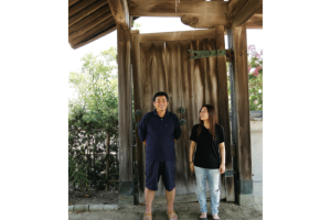 阿波へ阿波藍の誕生