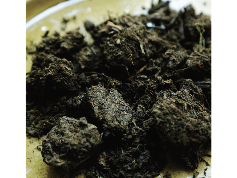 阿波へ阿波藍の誕生