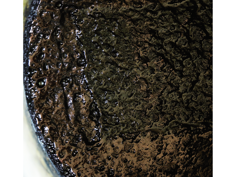 阿波へ阿波藍の誕生