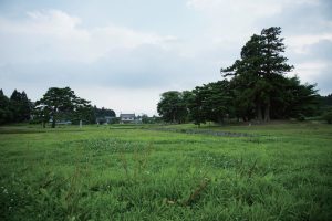 東北緑色革命情報都市「平泉」