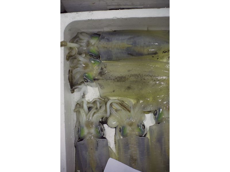 最西端の島、福江鬼門と繁栄