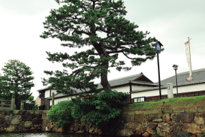 不昧公の松江・数寄者