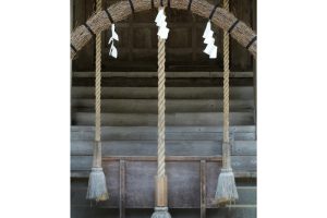 東北緑色革命情報都市「平泉」