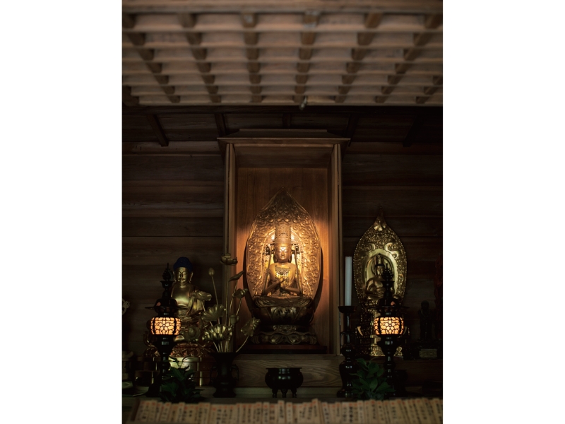 東北緑色革命情報都市「平泉」