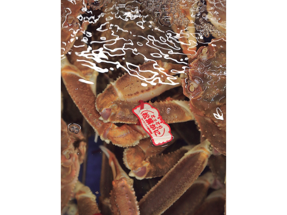 蟹と鳥取の物語松葉がにに沸く岩美町