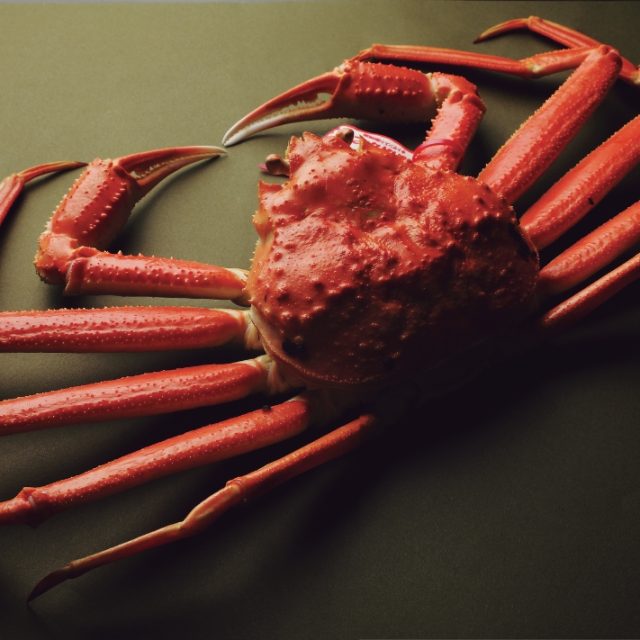 蟹と鳥取の物語松葉がにに沸く岩美町