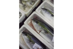 最西端の島、福江鬼門と繁栄