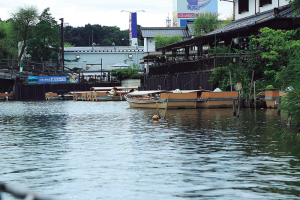 不昧公の松江・数寄者