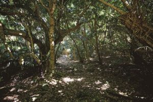 Sacred Places in Okinawa