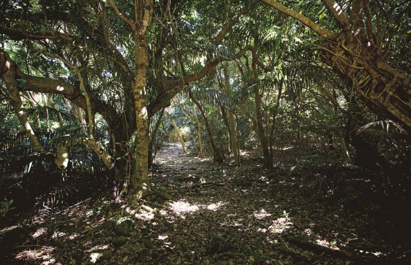 Sacred Places in Okinawa