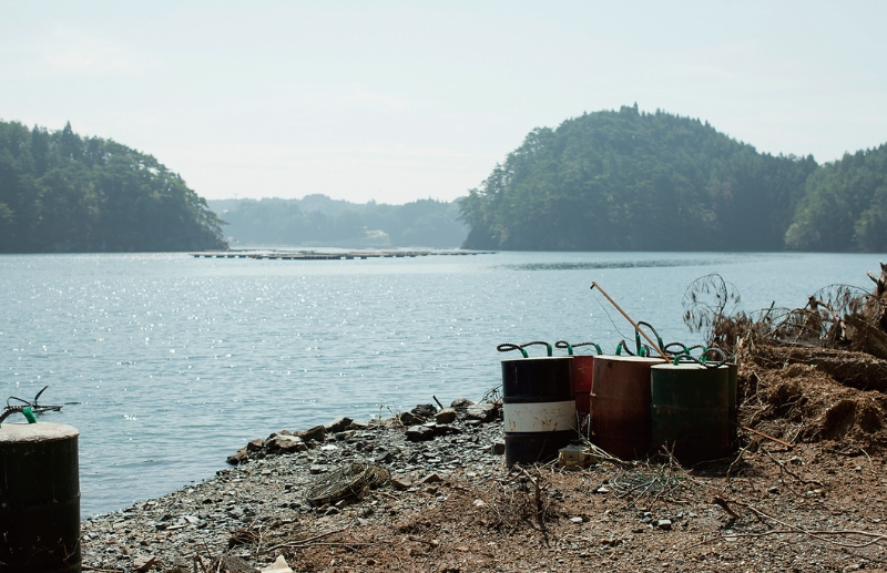 東北緑色革命風景の力、土地の力